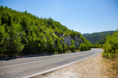 Dağlara giden yol ağaçlar ve çalılarla döşelidir..