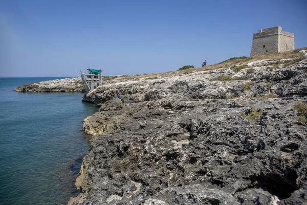 アドリア海の岩場の海岸にある灯台 海の水に洗われた灰色の石灰岩 — ストック写真