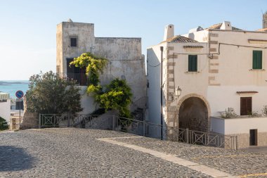 İtalya 'nın Puglia, Vieste şehrinde bir sokak ve evler. Adriyatik Denizi Tatili