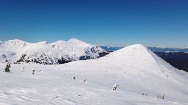 Karla kaplı Chornohora sırtının Panorama 'sı Karpatlar' da Shpytsi ve Hoverla tepeleri ile