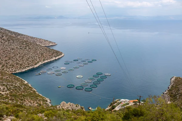 stock image A tranquil coastal landscape with a seafood farm in a calm sea bay, Greece