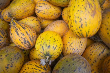 Koyu yeşil benekli, olgun, sarı karpuzlar.