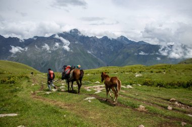 Atlara önderlik eden bir adamla dağlarda manzaralı bir yürüyüş, bavulları bir keşif gezisi için hazırlandı. Gürcistan 'daki Kazbek Dağı ya da Kazbegi Dağı, Kafkaslar.