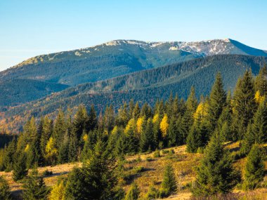 Mountain Vista: A breathtaking view of snow-capped mountains and a winding path through a colorful autumn landscape. clipart