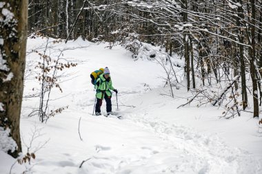 Parlak yeşil ceketli yalnız bir yürüyüşçü, karla kaplı bir orman yolunda yol alır. Çıplak ağaçlar arasındaki el değmemiş beyaz yolu gösteren ayak izlerini takip eder..