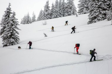 Bir grup ürkek maceracı karla kaplı dik bir yamaca doğru ilerleyip sisli bir orman yamacında yol alırlar..