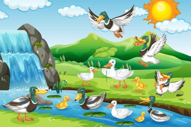 Outdoor scene with cartoon ducks illustration