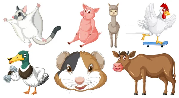 Set Various Animals Cartoon Characters Illustration — Stockový vektor