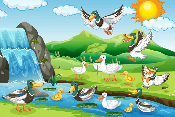 Outdoor Scene Cartoon Ducks Illustration — 图库矢量图片