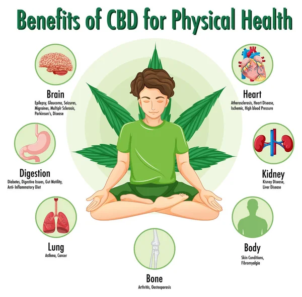 stock vector Benefits of CBD for physical health diagram illustration