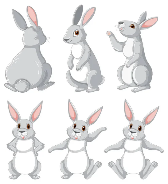 Farklı Pozlarda Beyaz Tavşanlar Çizim Yapar — Stok Vektör
