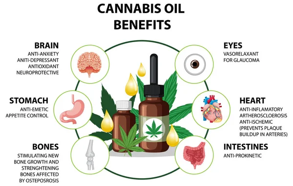 stock vector Benefits of CBD for physical health diagram illustration