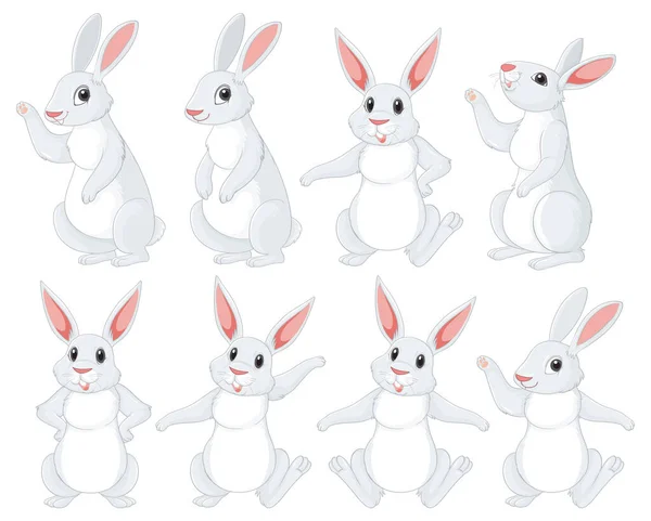 Lapins Blancs Dans Différentes Poses Ensemble Illustration — Image vectorielle