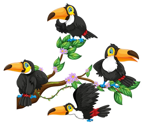 Oiseau Toucan Sur Une Branche Arbre Illustration — Image vectorielle