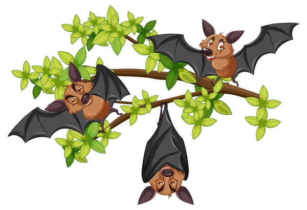 Morcegos Galho Árvore Ilustração —  Vetores de Stock