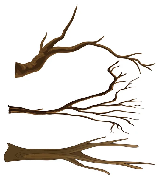 Set Different Tree Branches Isolated Illustration - Stok Vektor