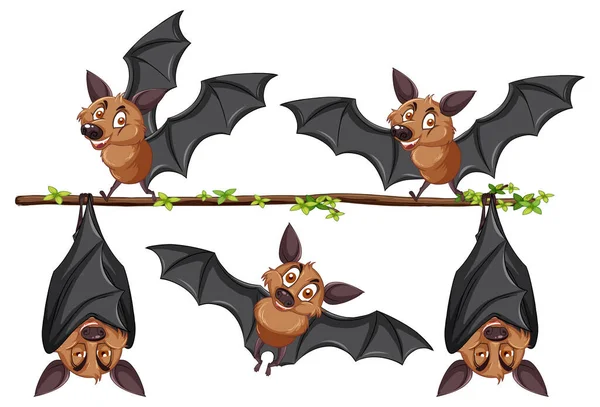 Morcegos Galho Árvore Ilustração — Vetor de Stock