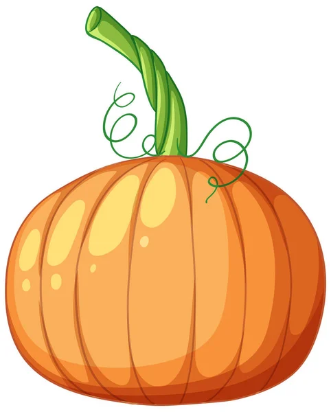 Isolated Simple Pumpkint Cartoon Illustration — Stock Vector