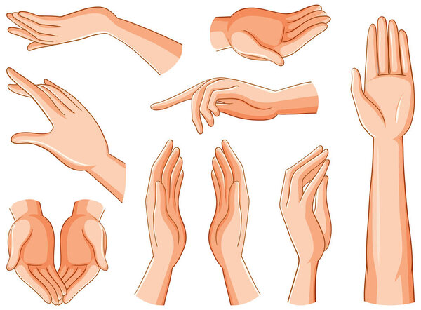Collection of human hands illustration