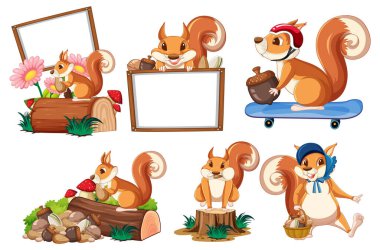 Boş tabela koleksiyonu resimli sincap