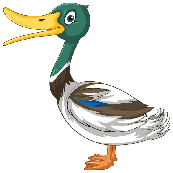 Cute Duck Cartoon Character White Background Illustration — 스톡 벡터