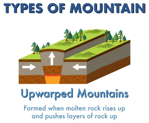 Upwarped Mountain Explanation Illustration — Stock Vector