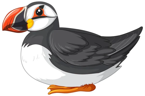 Pájaro Frailecillo Sentado Pose Ilustración — Vector de stock