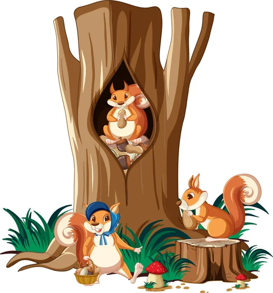 Three Squirrels Eating Nuts Garden Illustration — Stock Vector