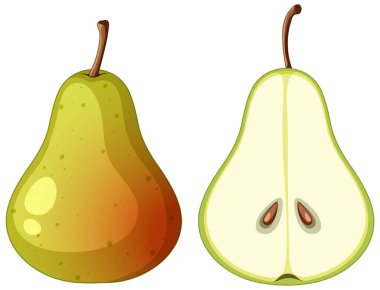 Olgun armut ve yarım armut çizimi
