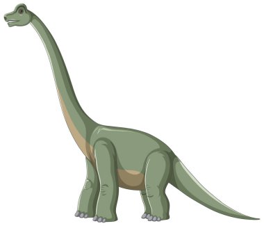 Brachiosaurus beyaz arkaplanda izole edildi