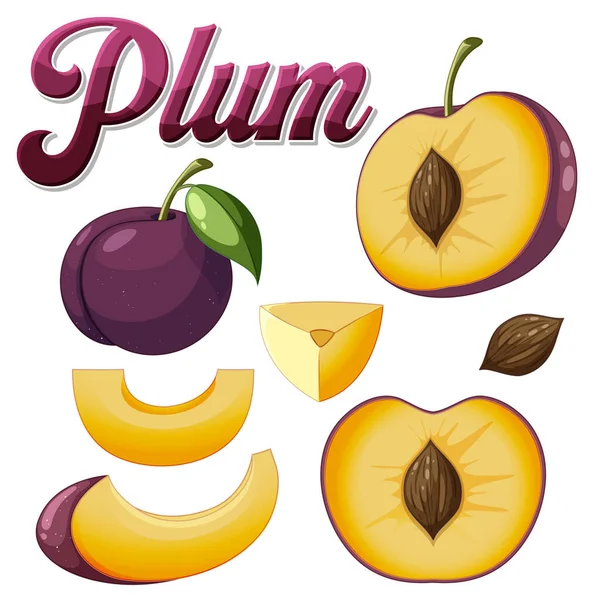 Set Plum Fruit Cartoon Illustration — Archivo Imágenes Vectoriales