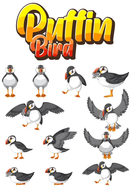Set Puffin Bird Cartoon Character Different Poses Illustration Telifsiz Stok Illüstrasyonlar