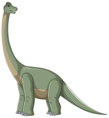 Brachiosaurus beyaz arkaplanda izole edildi