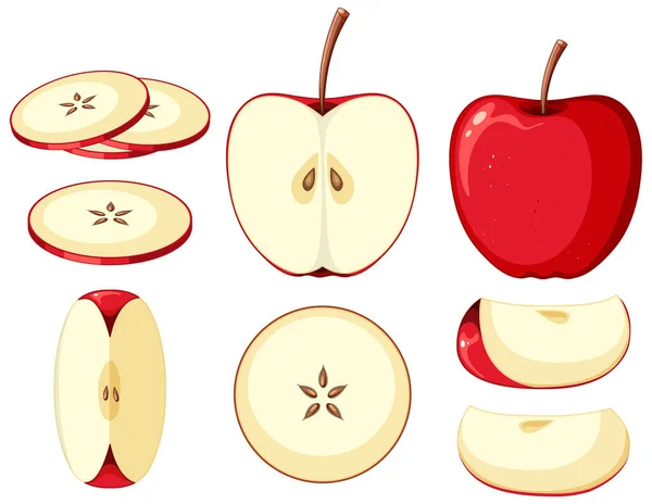 Roter Apfel Ganzen Und Scheiben Geschnitten Illustration — Stockvektor