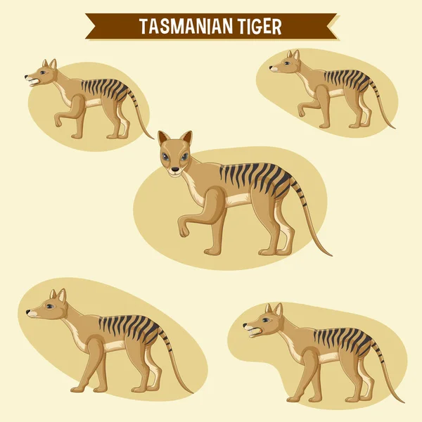 Set Tasmanian Tiger Sticker Set Illustration — Stok Vektör