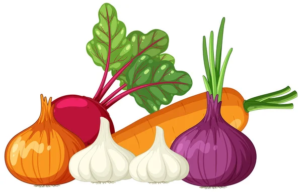Pile Various Root Vegetables Illustration — Stockvector