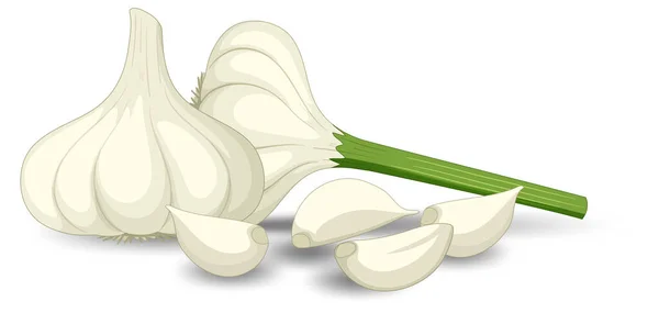 Knoflookkoppen Met Kruidnagel Witte Achtergrond Illustratie — Stockvector