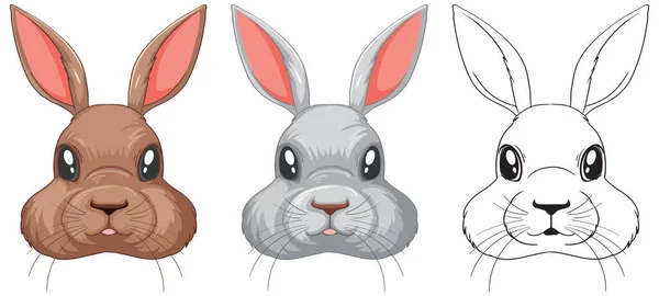 Set Rabbit Head Isolated Illustration Ilustración De Stock
