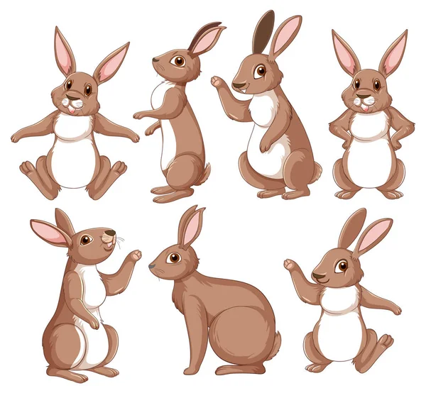 Conejos Marrones Diferentes Poses Set Illustration — Vector de stock