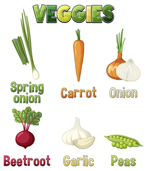 Root Vegetables Set White Background Illustration — Stok Vektör