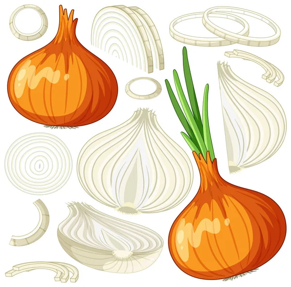 Set Onion Cartoon Isolated Illustration — Stok Vektör