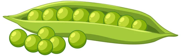 Grüne Erbsen Einer Hülse Illustration — Stockvektor
