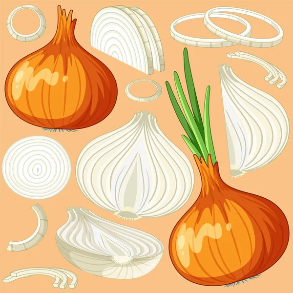 Onion Orange White Background Illustration — Stok Vektör