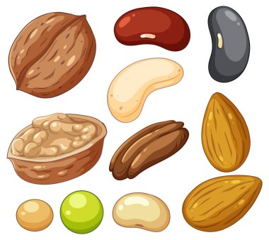 Bean nut pea collection illustration