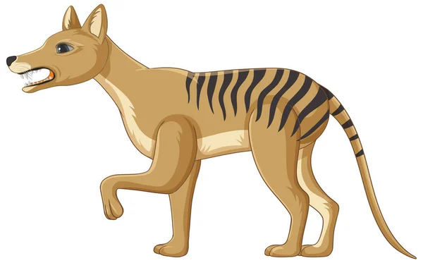 Tasmanian Tiger Extinct Animal Vector Illustration — Stock Vector