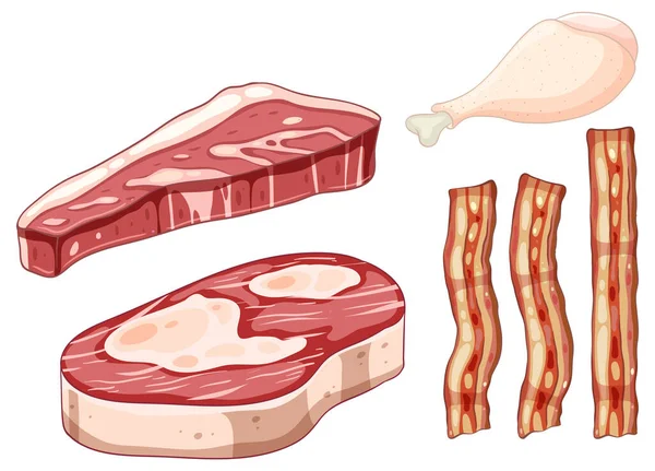 Diferentes Tipos Ilustración Recolección Carne — Vector de stock