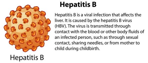 Hepatitis Explanation Illustration — Stock Vector