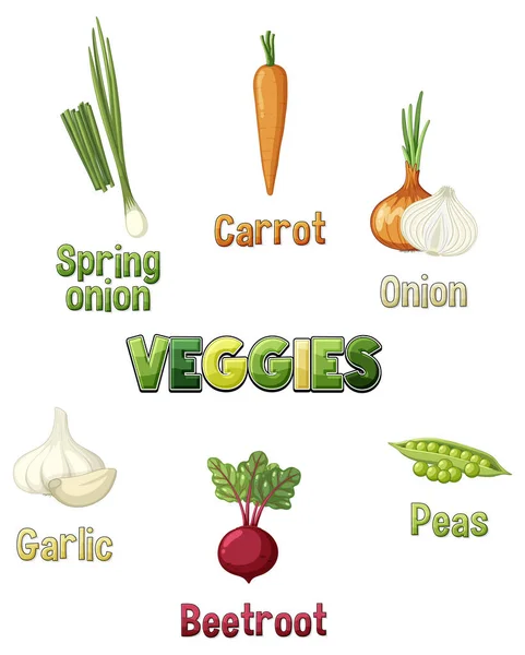 Root Vegetables Set White Background Illustration —  Vetores de Stock
