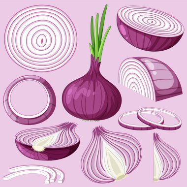 Set red shallot with background illustration