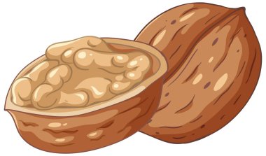 Isolated simple walnut cartoon illustration